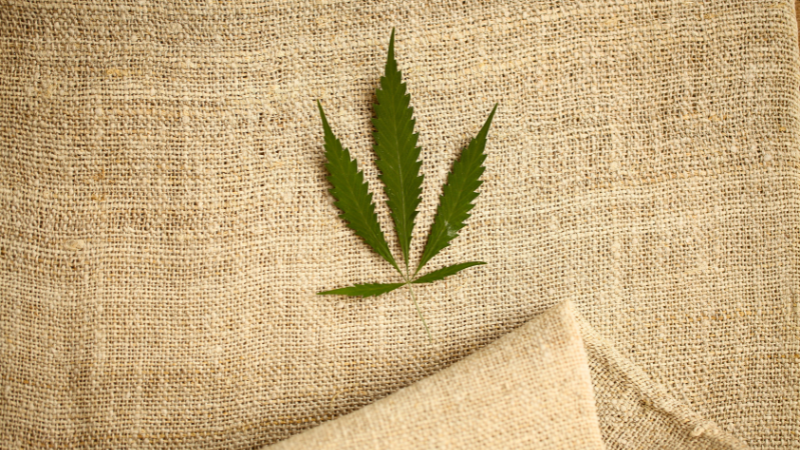 Hemp fabric